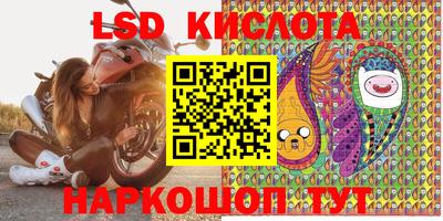 индика Сосновый Бор