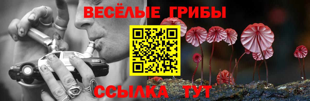 Звенигород  Псилоцибиновые грибы Psilocybe  Вход с VPN  Галлюциногенные грибы Magic Shrooms 